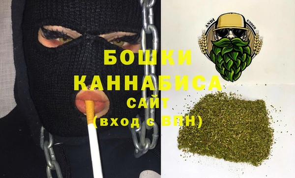 стаф Вязьма